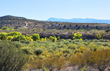 camp verde rimrock